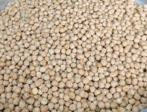 ID 1071 - Elementa Foods Argentina / Garbanzo 7 mm - (380-2025) - Destino: Italia