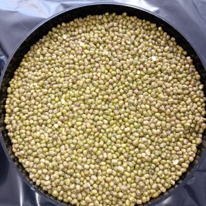 ID 1084 - Tierra Lejana SA - Poroto Mung (556) 5x20 - Destino: Vietnam