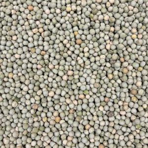 ID 1085 - Elementa Foods Argentina - Arveja Verde 7x20 (CTR 386-2025) - Destino: China