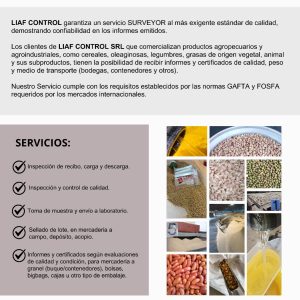 Servicio de Surveyor LIAF CONTROL SRL