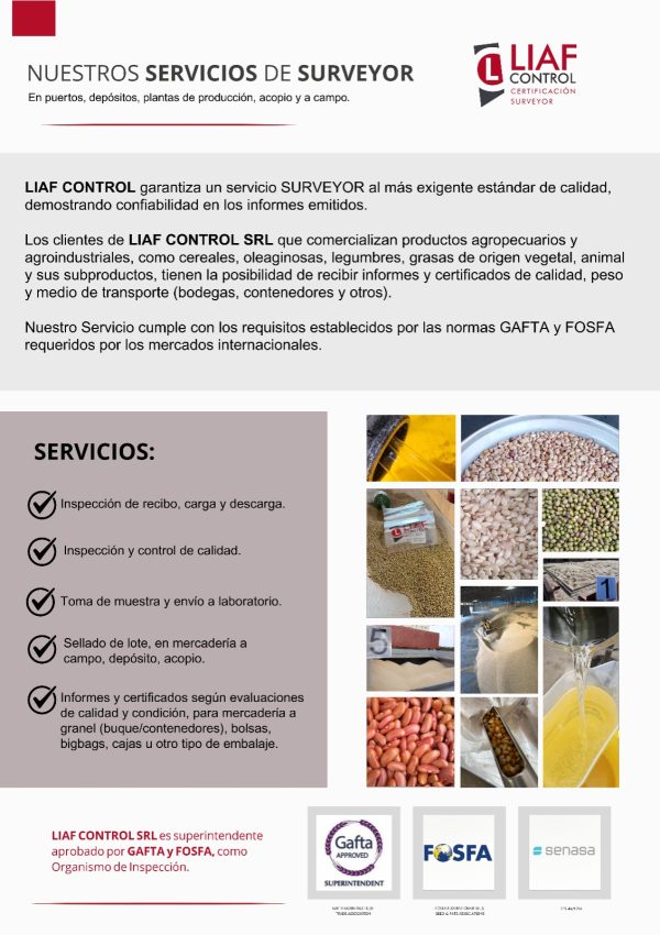 Servicio de Surveyor LIAF CONTROL SRL