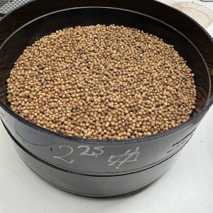 ID 1150 - Elementa Foods - Coriandro - Destino: Sri Lanka (CTR 414/2025)