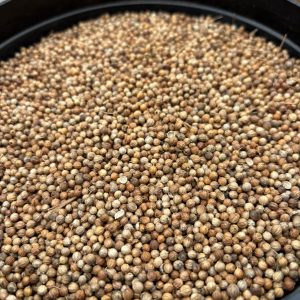 ID 1193 - Elementa Foods - Coriandro - CTR 427B2025