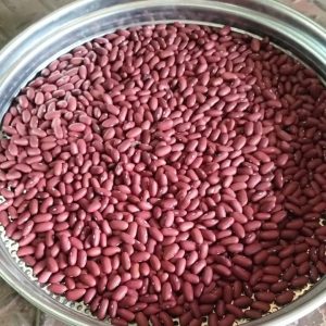 ID 1185 - Cremer y Asociados SA - Poroto DRK 4x20 - Destino: España