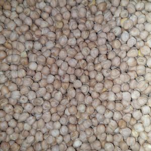 ID 1189 - Garbanzo - Elementa Foods (CTR 438/2025) - Destino: Turquía