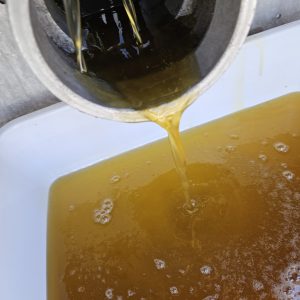 ID 1204 - Syngenta - Aceite de girasol AO - Destino: Chile - Fact 455