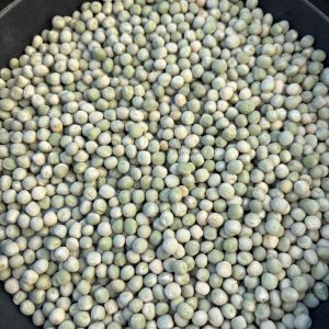 ID 1217 - Elementa Foods - Arveja Verde - (CTR 439A-2025) - Destino: China