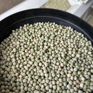 ID 1223 - Elementa Foods - Arveja Verde Granel (CTR 442-2025) - Destino: China