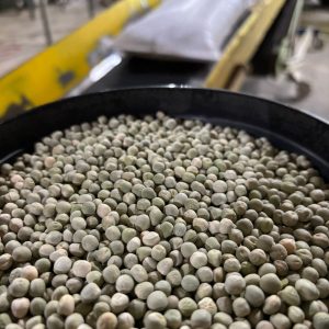 ID 1221 - Elementa Foods - Arveja Verde (Bls) (CTR 440-2025) - Destino: China