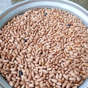 ID 1233 - El Campo Sa - Poroto Canela en Bolsas 2x20 - Destino: Portugal