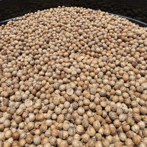 ID 1230 - Elementa Foods - Coriandro Bls (CTR 448/2025) - Destino: Sri Lanka