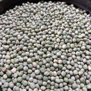 ID 1236 - Elementa Foods - Arveja Verde Bls ( CTR 432-2025) - Destino: China