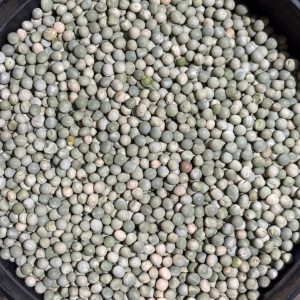 ID 1234 - Elementa Foods - Arveja Verde Bls (CTR439C2025) - Destino: China