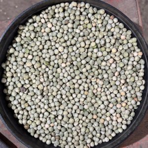 ID 1246-02 - Elementa Foods Argentina - Arveja Verde - Destino: China (CTR 441B2025)