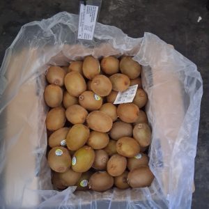 ID 1290 - FRUTEX SAS - Abraxas Mercado Central - Desconsolidado de Kiwi (fresco) Origen: Grecia