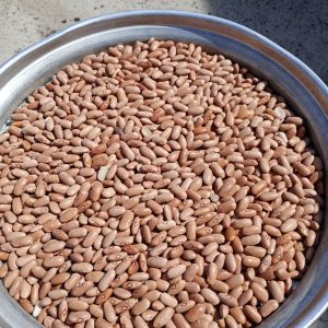 ID 1269 - El Campo SRL - Poroto Canela 3x20 - Destino Portugal