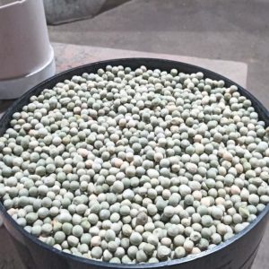 ID 1286 - Elementa Foods Argentina - Arveja Verde (CTR 4552025) - Destino: Dakar, Senegal