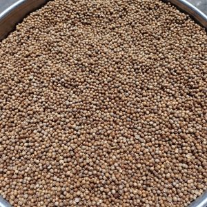 ID 1248 -Elementa Foods Argentina - Coriandro (CTR 429A-2025) - Destino: Sri Lanka