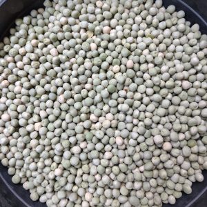 ID 1260 - Elementa Foods Argentina - Arveja Verde 5x20 - CTR 439D/2025 - Destino: China