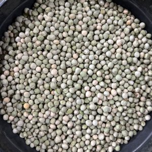 ID 1262 - Elementa Foods Argentina - Arveja Verde 10x20 - CTR 4502025 - Destino: China