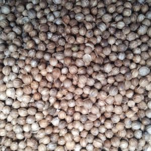 ID 1268 - Elementa Foods Argentina - Coriandro (CTR 430B-2025) 3x40 - Destino: Sri Lanka