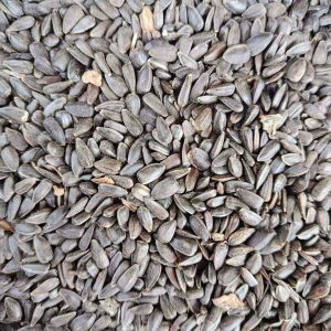 ID 1225- Lartirigoyen y CIA S.A. - Girasol - 10X20 - Destino: Liverpool - UK