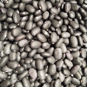 ID 1289 - Elementa Foods Argentina - Poroto Negro - (CTR 4342025)