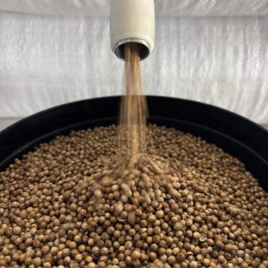 ID 1287- Elementa Foods Argentina -Coriandro (CTR 456A2025) - Destino: Sri Lanka