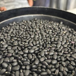 ID 1295- Elementa Foods Argentina- Poroto Negro - (CTR 458A2025) - Destino: Turquía