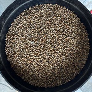ID 1299 - Elementa Foods Argentina -Coriandro (CTR 456B/2025) - Destino: Sri Lanka