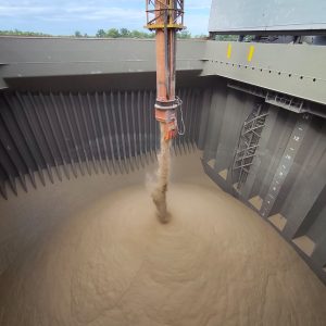 ID 1320 - IBERÁ MERCANTIL SA - Arroz Integral - Puerto Terminal Las Palmas - Vessel: MV MEGHNA PIONEER