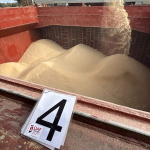 ID 1482 - Iberá Mercantil - Arroz Integral - Puerto Las Palmas - MV MANTA HATICE